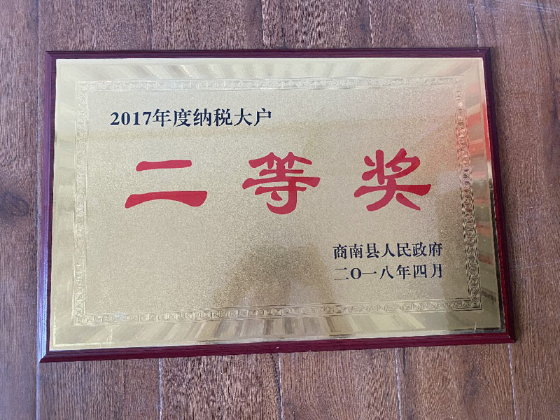 2017年度纳税大户